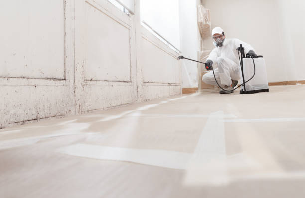 24/7 Emergency Mold Remediation experts in Carversville, PA