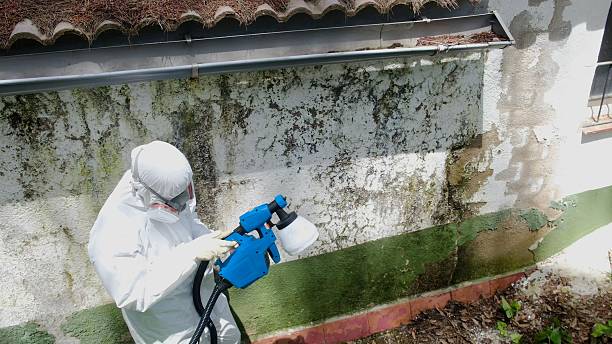 Top rated local Mold Remediation specialists in Carversville, PA